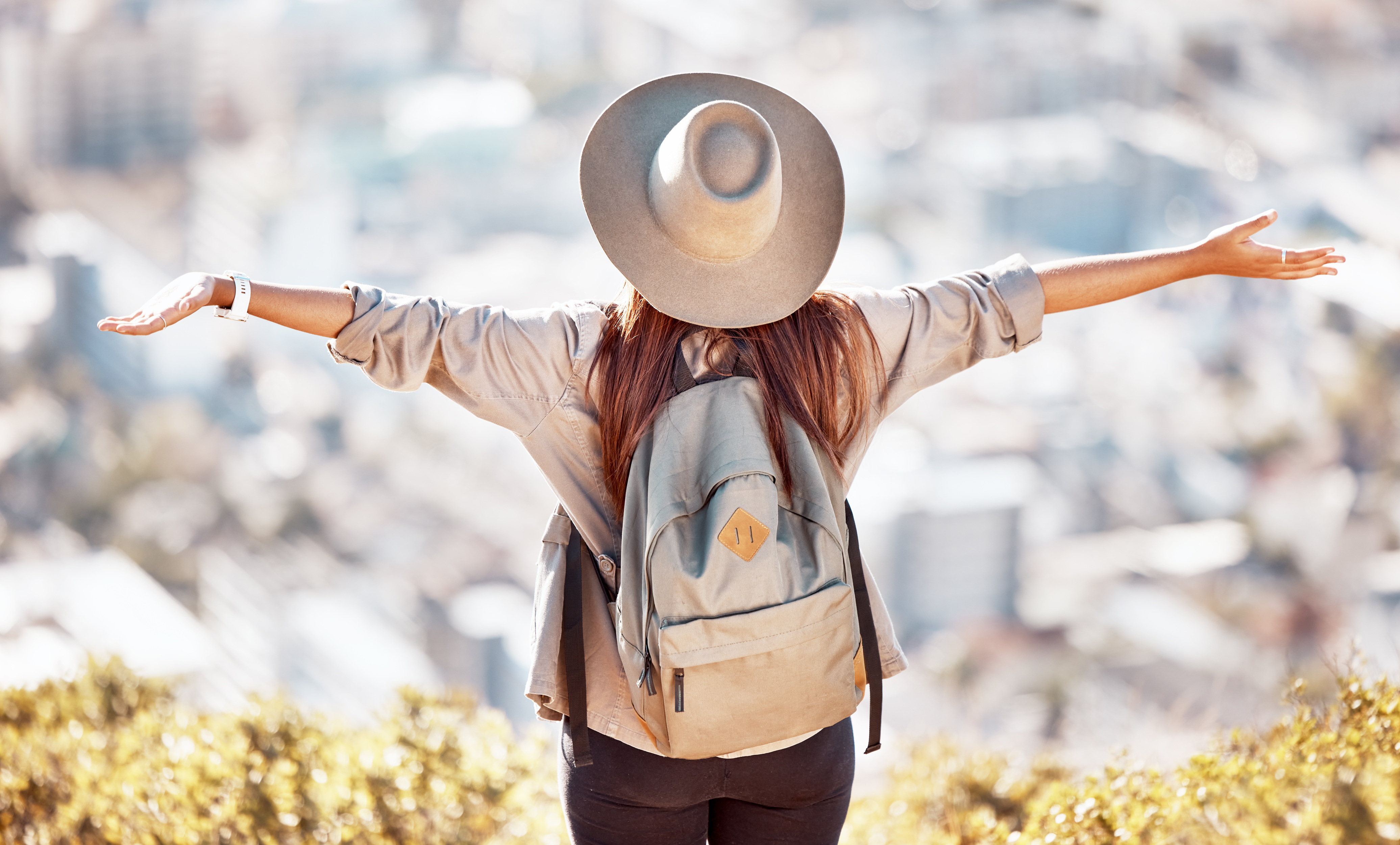 Traveler